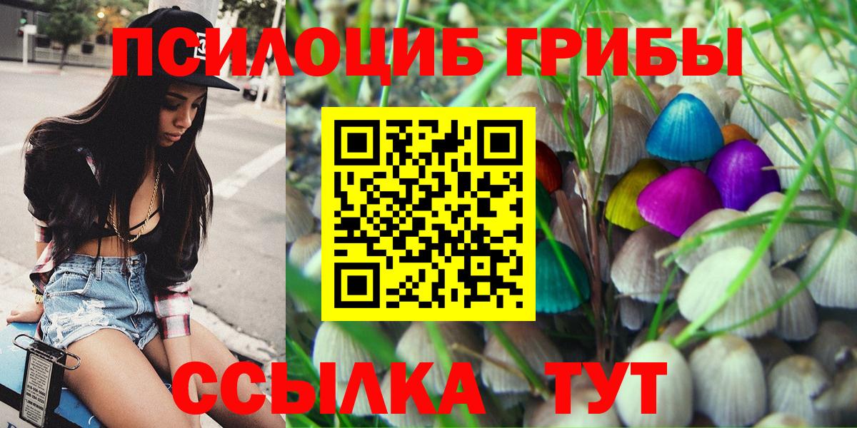 Псилоцибиновые грибы GOLDEN TEACHER  Вход с VPN  Фрязино 