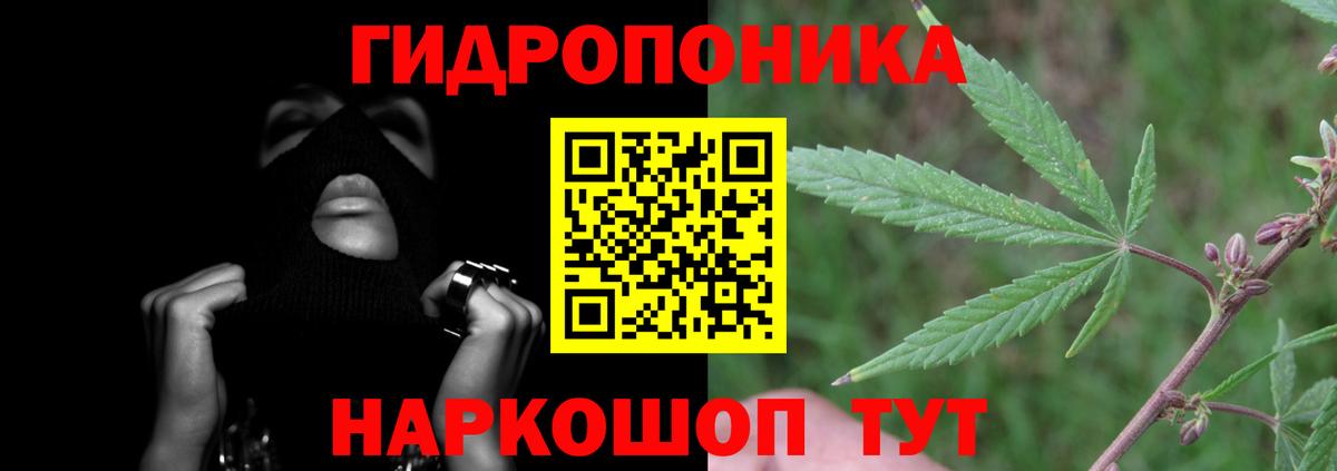 Бошки Шишки VHQ Фрязино